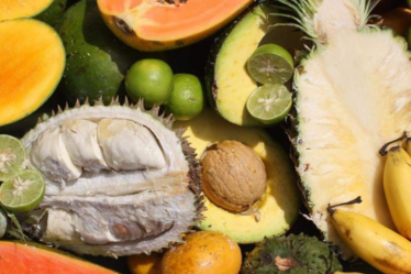 Africké trhy Beroun 2026