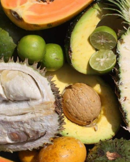 Africké trhy Plzeň 2026