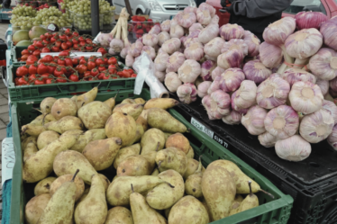 Farmářské trhy Břeclav 2026