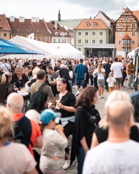 Chebský festival vína 2026