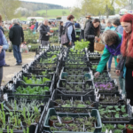 Farmářský trh 2026 Votice