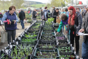 Farmářský trh 2026 Votice