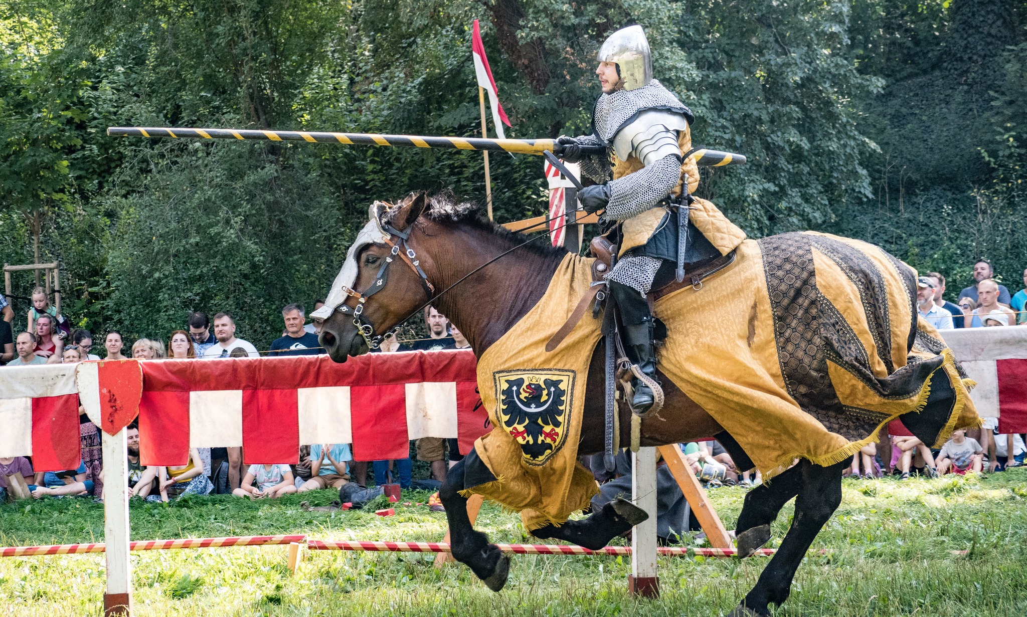 Turnaj králů 2026 - zámek Křimice - Plzeň