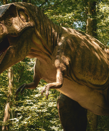 Cestování s dinosauřími mláďátky 2026 - Chodová Planá
