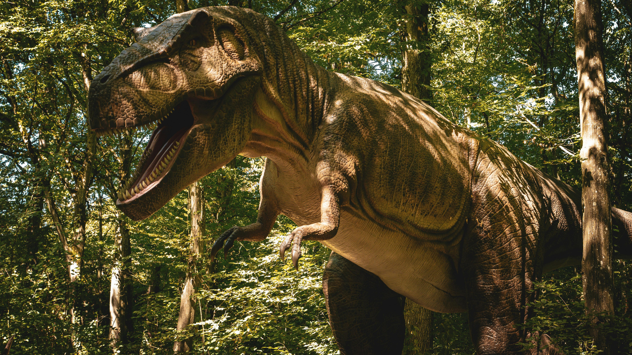Cestování s dinosauřími mláďátky 2026 - Chodová Planá