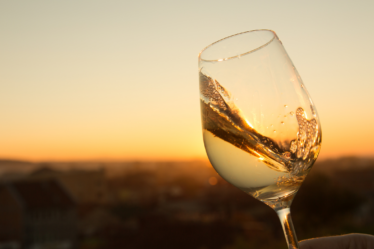 Turnovské vinobraní 2026 - Turnov