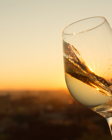 Turnovské vinobraní 2026 - Turnov