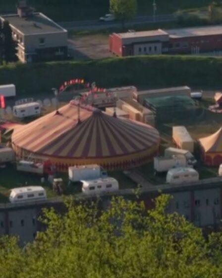 Cirkus BOB Navarro King v Šumperku 2026